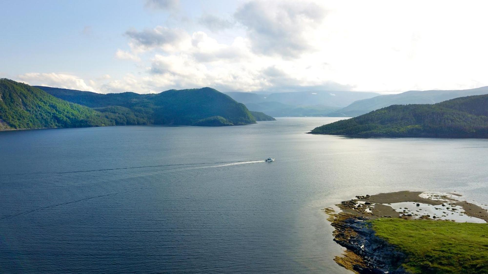 Neddies Harbour Inn Norris Point Extérieur photo